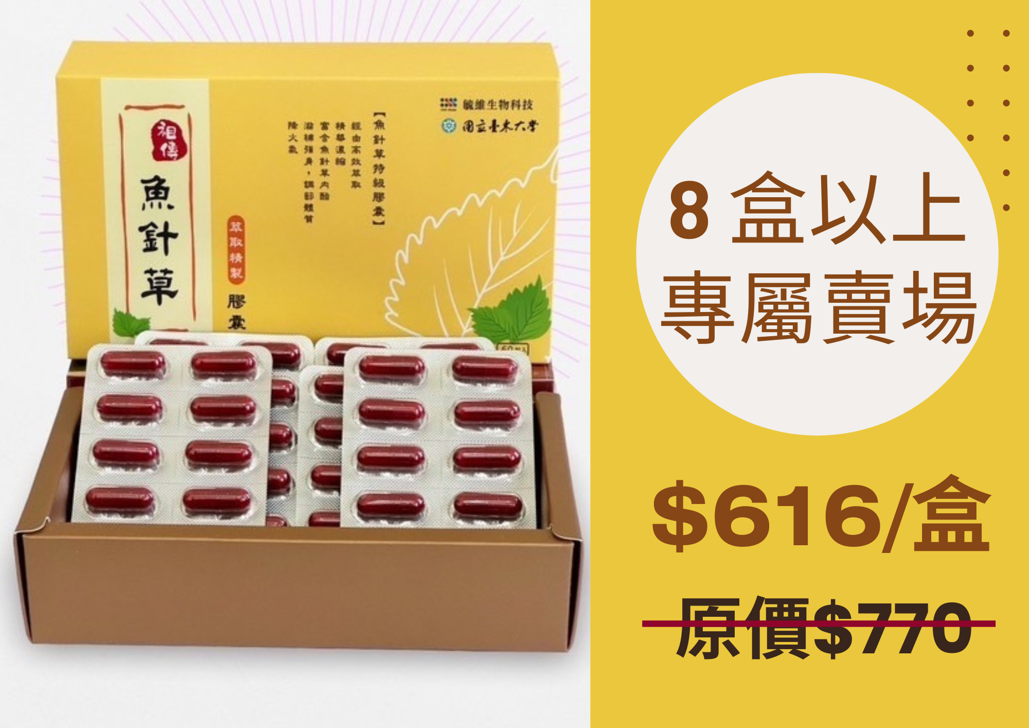 【日常保養】魚針草特級膠囊（限購8盒以上方享優惠價）